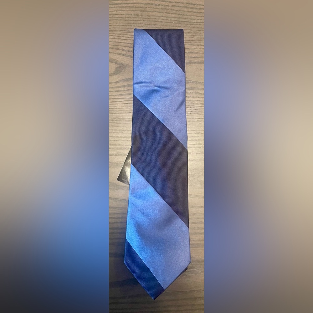 Express Navy and Sky Blue Diagonal Tie